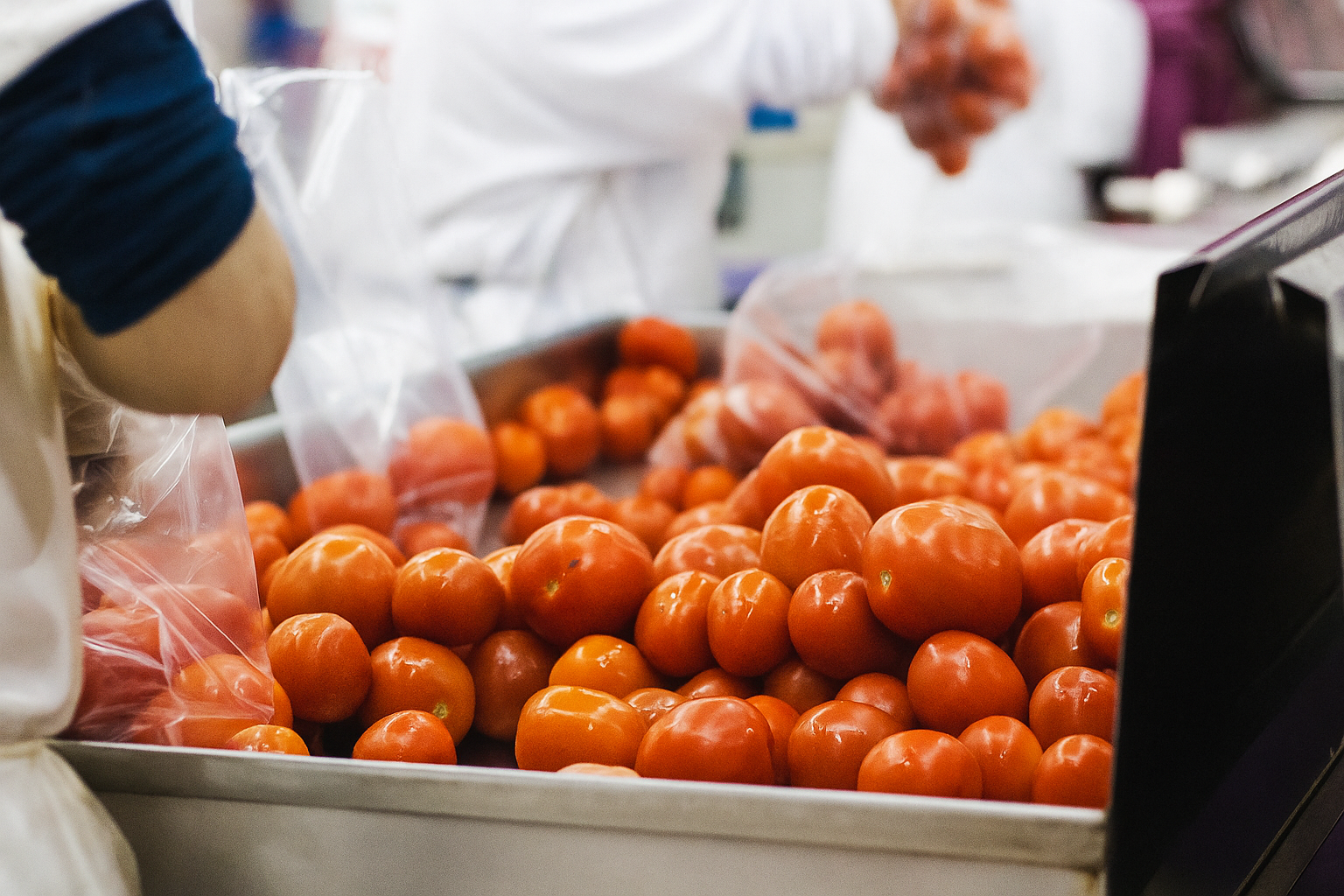 ChatGPT Image 5 de set. de 2025, 16_08_43